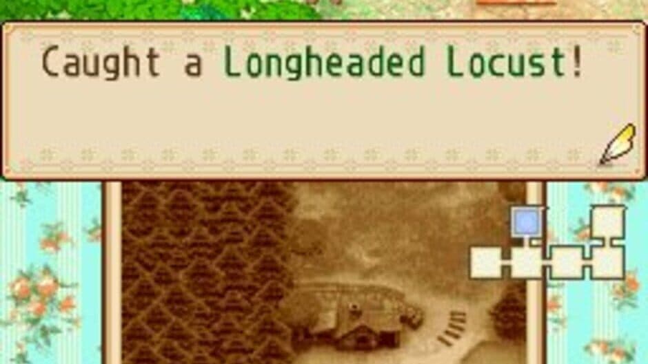 Harvest Moon DS: Grand Bazaar screenshot