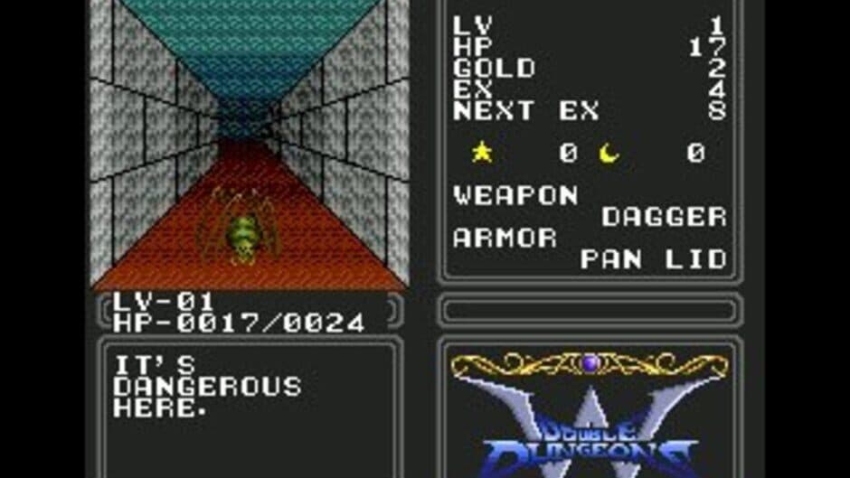 Double Dungeons screenshot