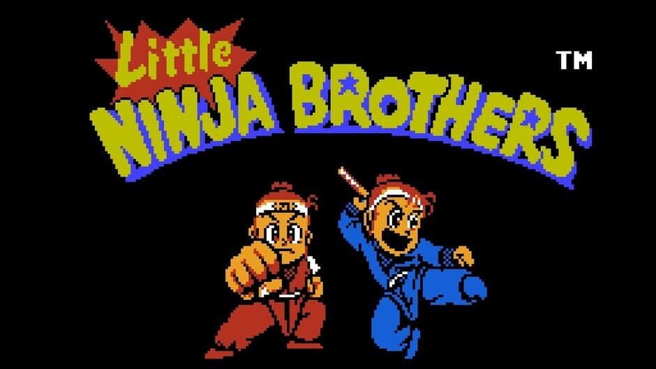 Little Ninja Brothers screenshot