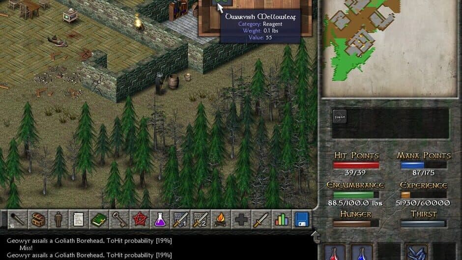 Eschalon: Book II screenshot