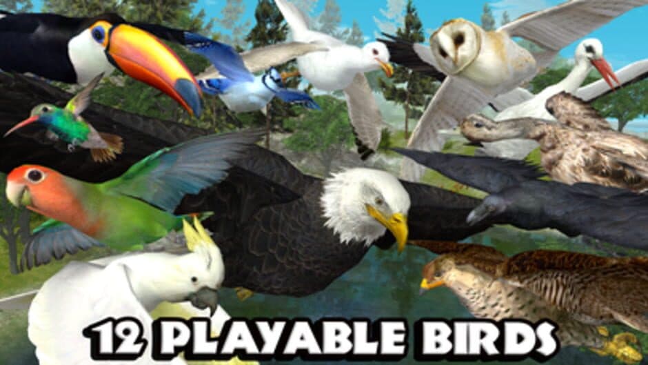 Ultimate Bird Simulator screenshot