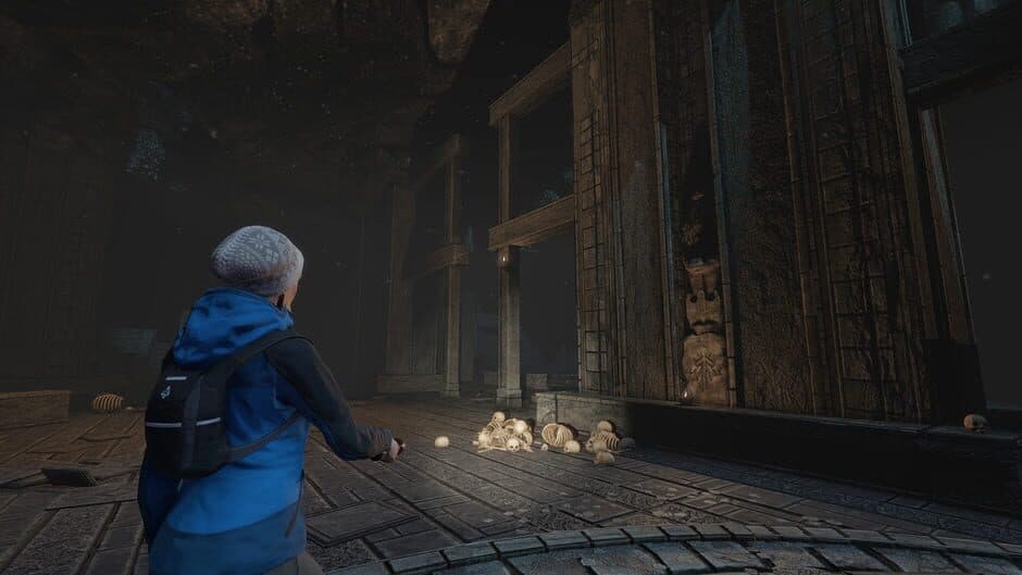 Through the Woods screenshot