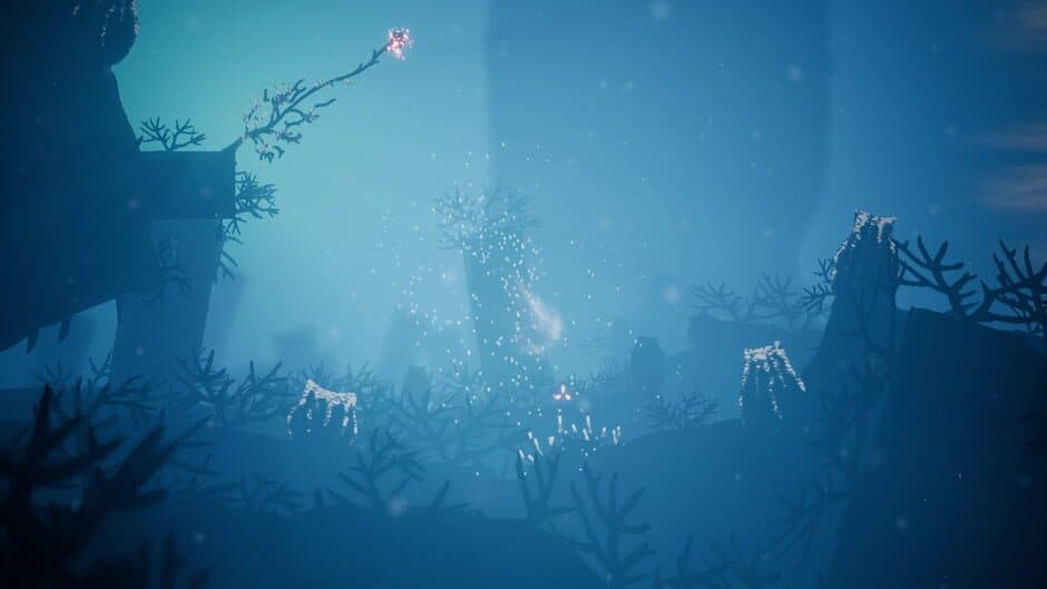 Koral screenshot