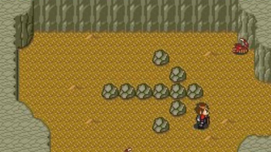 Neutopia screenshot