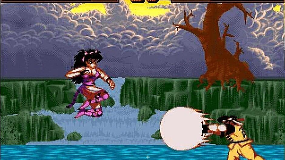 Shadow Fighter screenshot