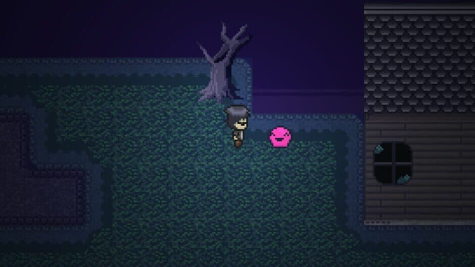 DashBored screenshot