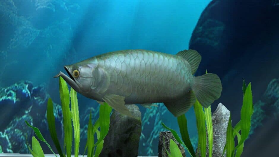 My Aquarium screenshot
