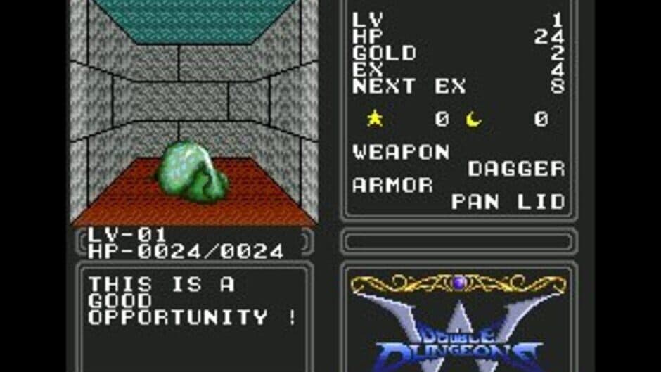 Double Dungeons screenshot