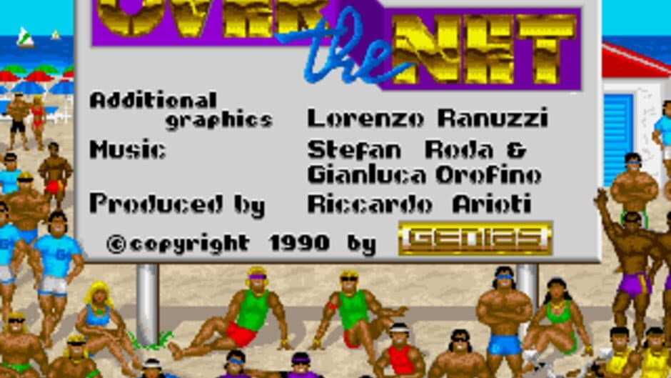 Over the Net screenshot