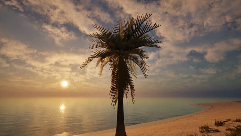 Palm Simulator 2 screenshot