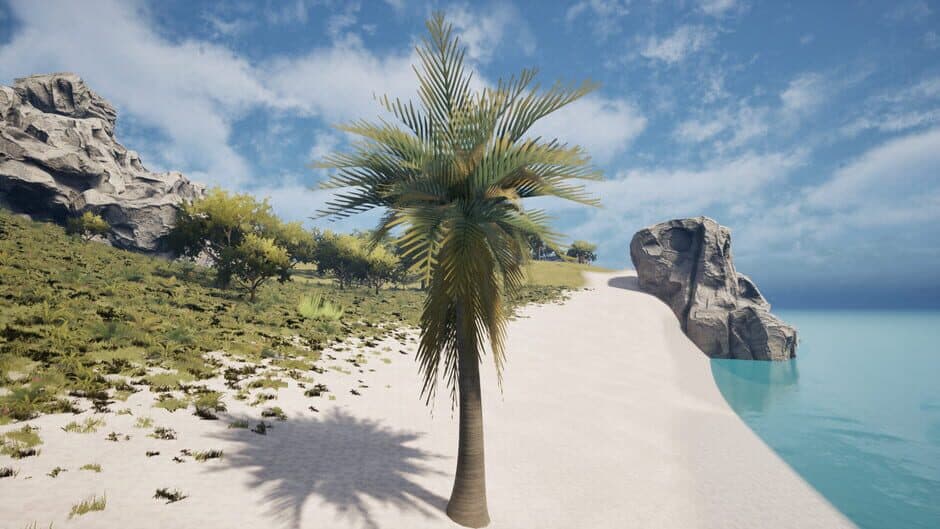 Palm Simulator 2 screenshot