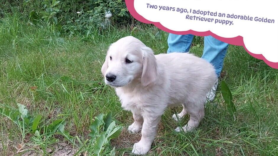 Golden Retriever Simple Life screenshot