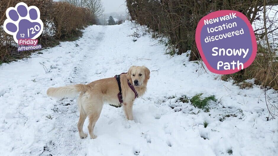 Golden Retriever Simple Life screenshot