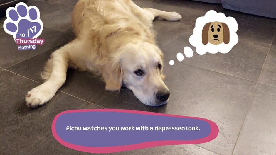 Golden Retriever Simple Life screenshot