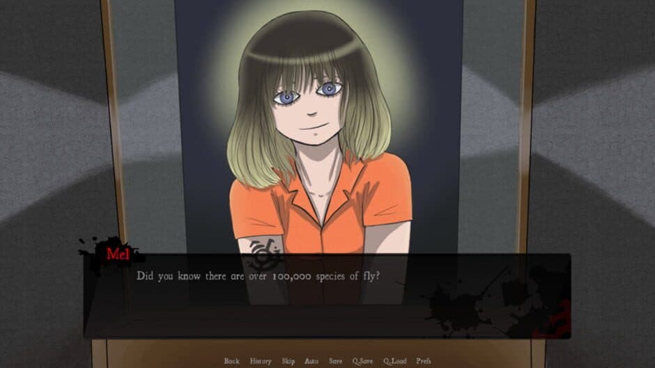 To Swat A Fly screenshot