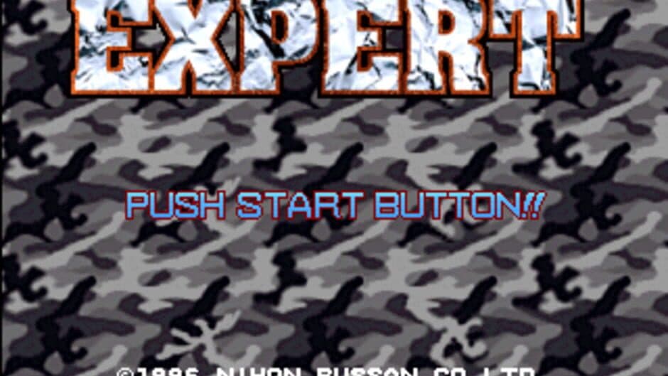 Expert screenshot