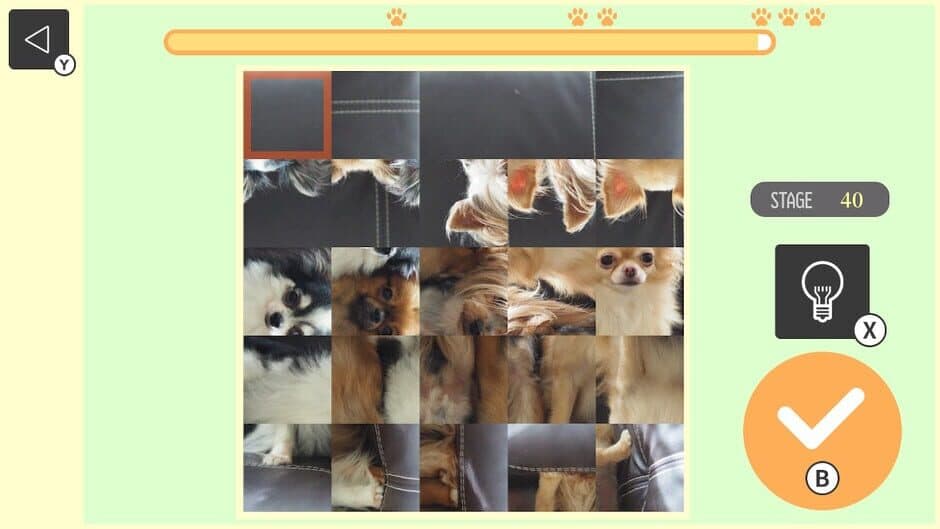 Brain Workout! Spinning Dog Puzzle screenshot