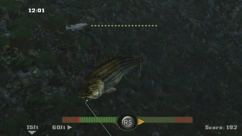 Rapala Fishing Frenzy 2009 screenshot