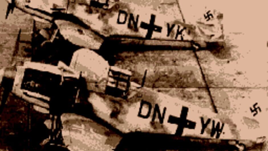 US AAF Mustang screenshot