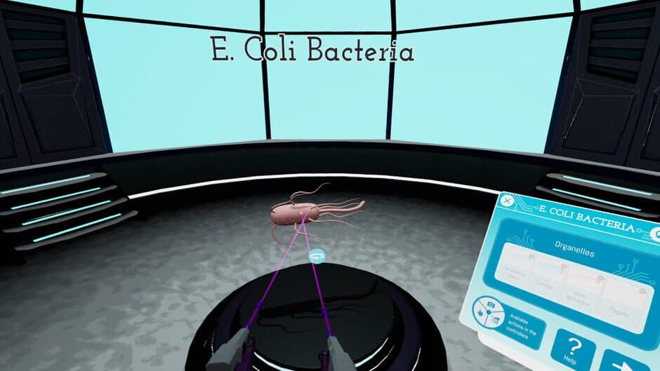 Looking Inside Cells screenshot