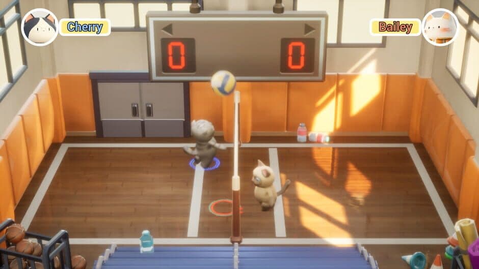 PawlleyBall screenshot