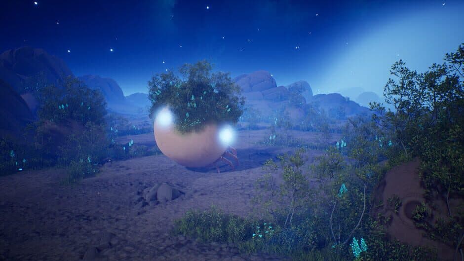 Lifecycles of the Traveler Spider screenshot