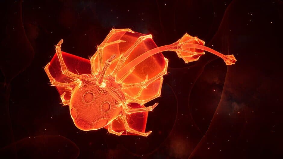 Lifecycles of the Traveler Spider screenshot