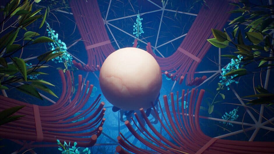 Lifecycles of the Traveler Spider screenshot