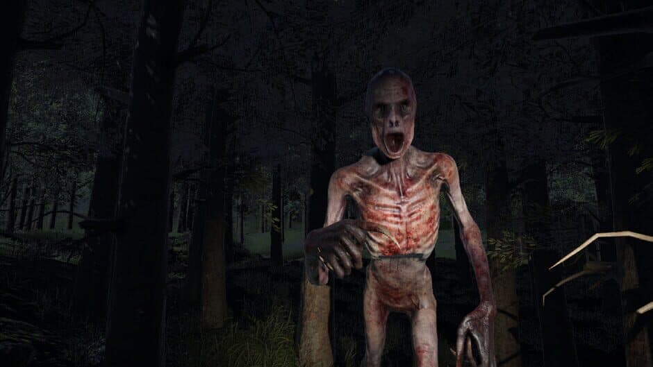 The Old Man’s Will screenshot