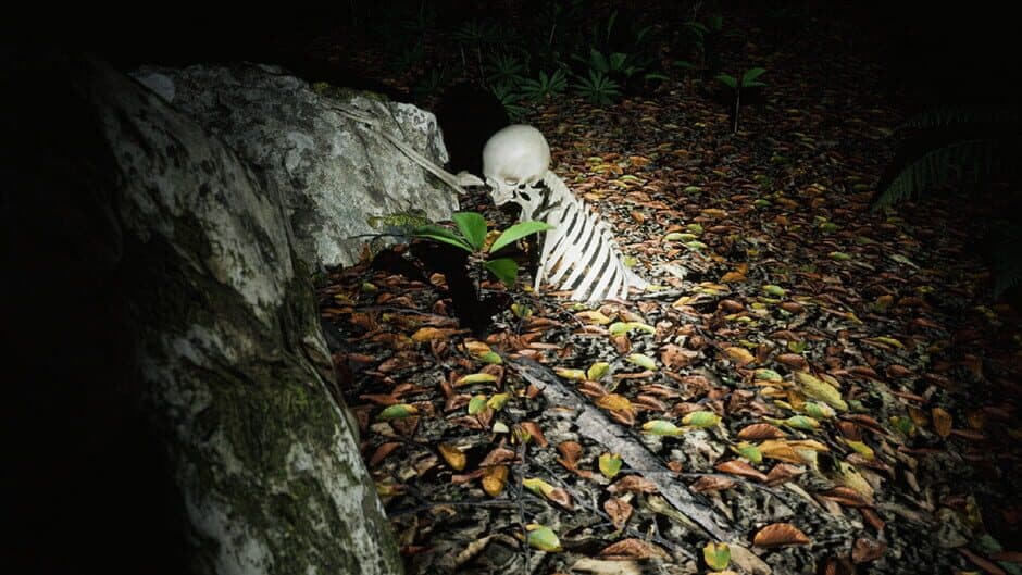 Skinwoods: The Full Cut screenshot