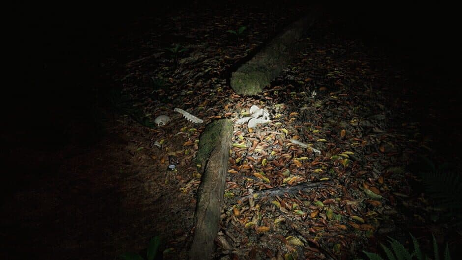 Skinwoods: The Full Cut screenshot