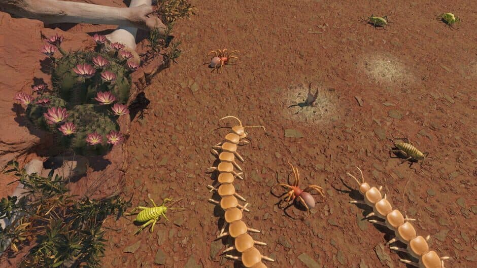 Centipede Simulator screenshot