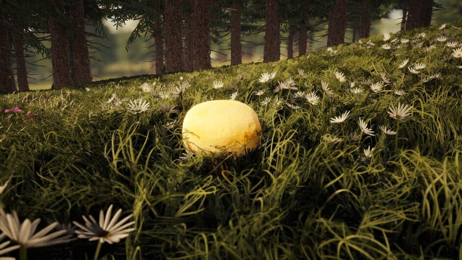 Forager's Finds screenshot