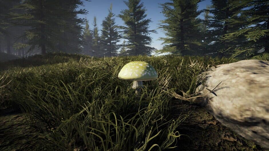 Forager's Finds screenshot