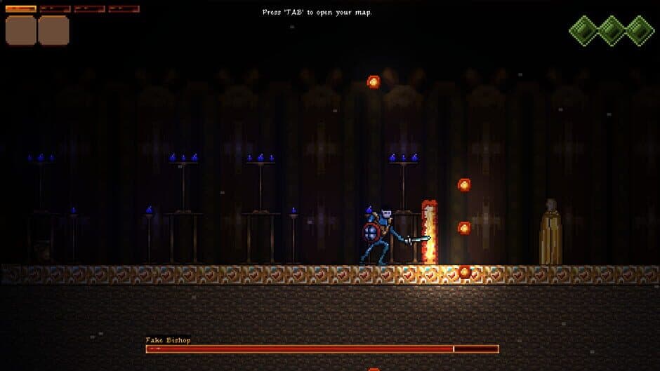 Sylva: Curse of the Demon Woods screenshot