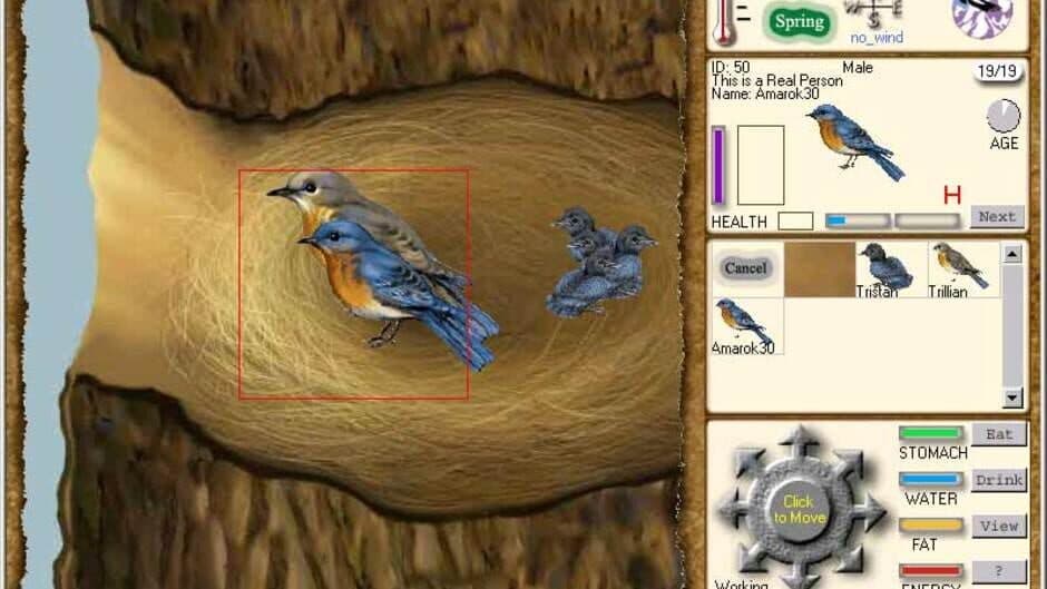 Web Earth Online screenshot