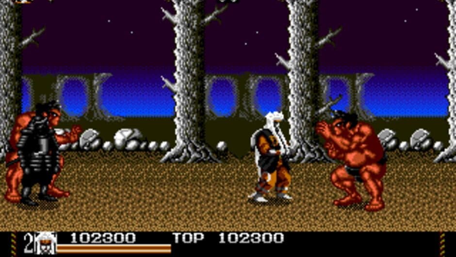 Mystical Fighter screenshot