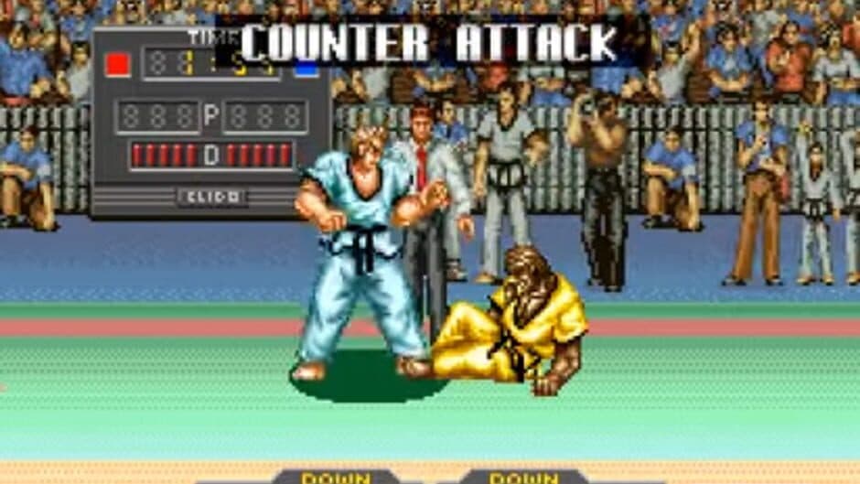 Taekwon-do screenshot