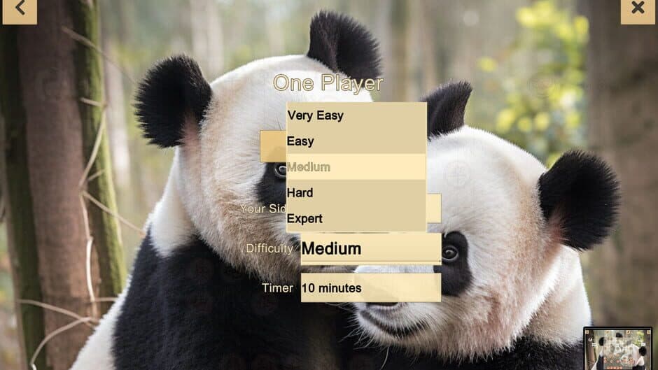 Chinese Chess: Xiangqi screenshot