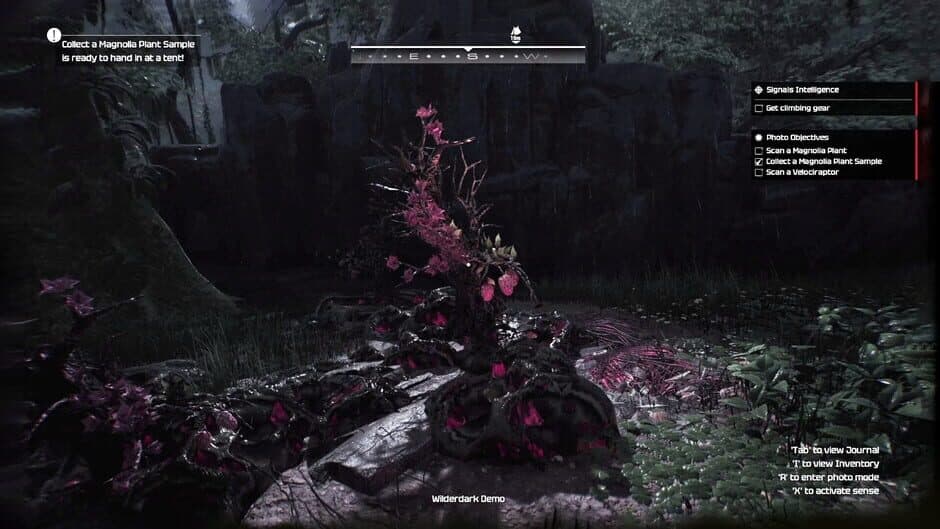 Wilderdark screenshot