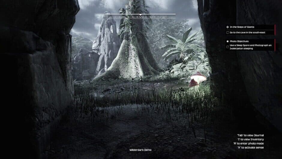 Wilderdark screenshot