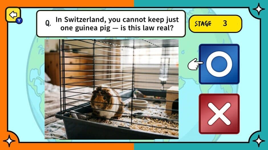 Surprising Laws Around the World True or False Quiz screenshot