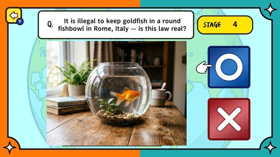 Surprising Laws Around the World True or False Quiz screenshot