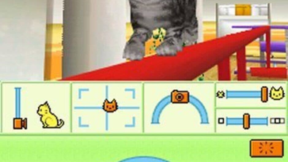 Petz: Catz Playground screenshot