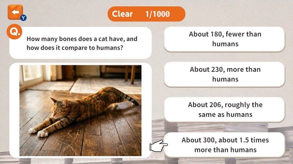 1000 Questions to Be Chosen by the Cat Lord screenshot