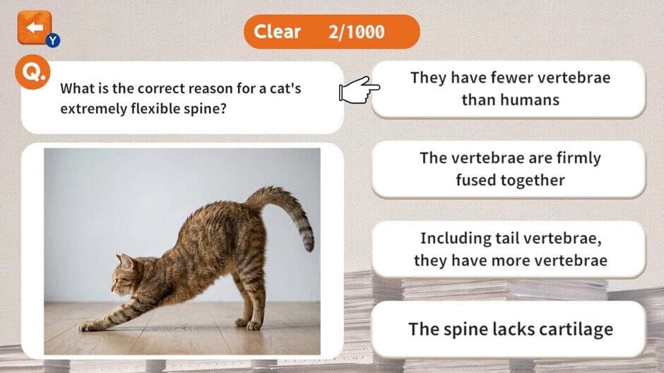 1000 Questions to Be Chosen by the Cat Lord screenshot