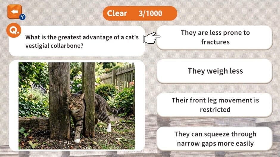 1000 Questions to Be Chosen by the Cat Lord screenshot