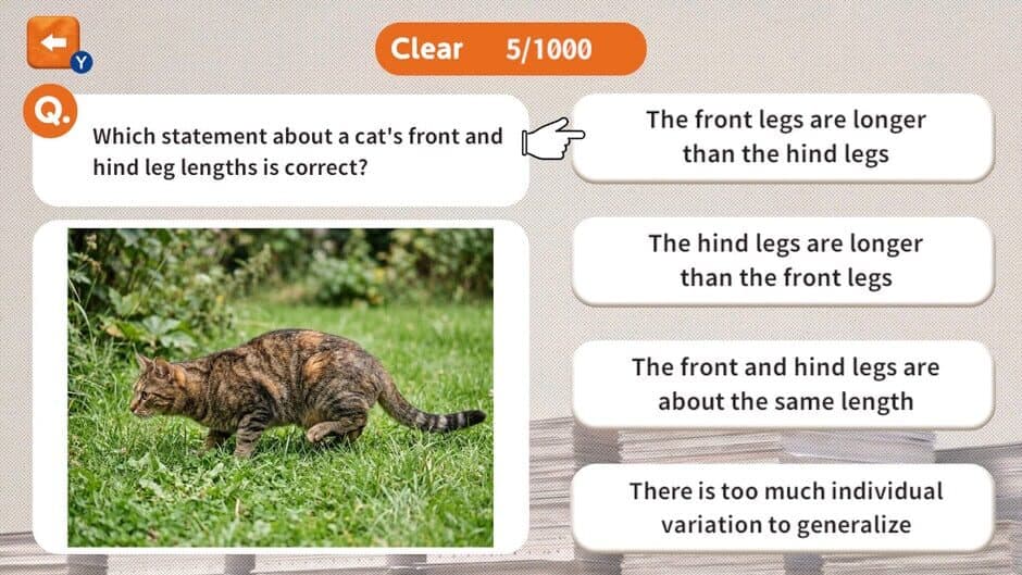 1000 Questions to Be Chosen by the Cat Lord screenshot