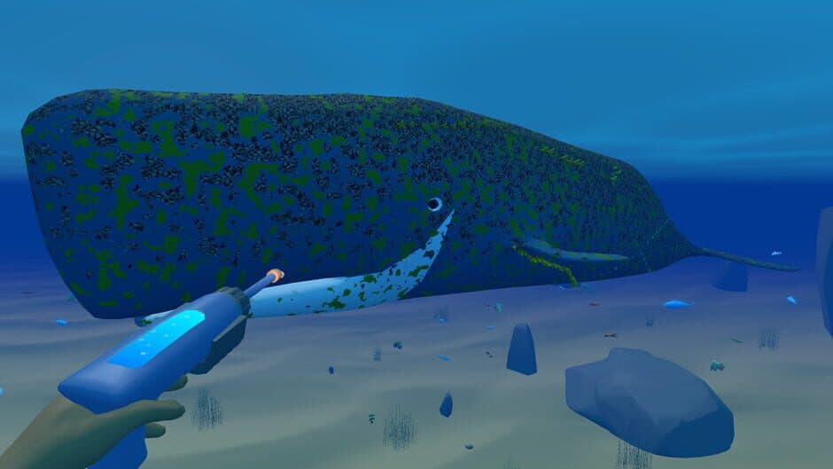 Bodian's Bay Wash screenshot