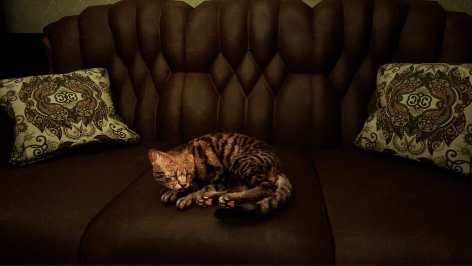 Meowmories screenshot